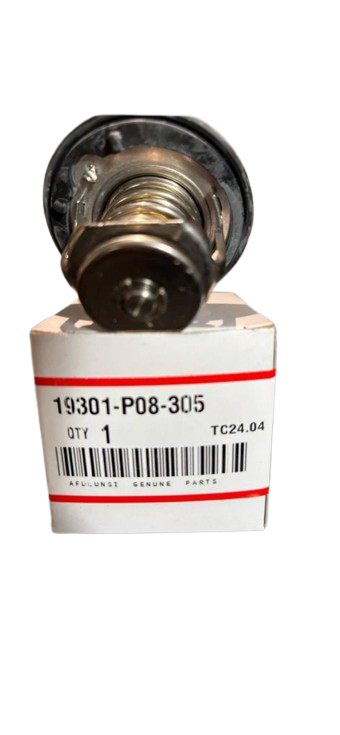 Nippon Thermostat
